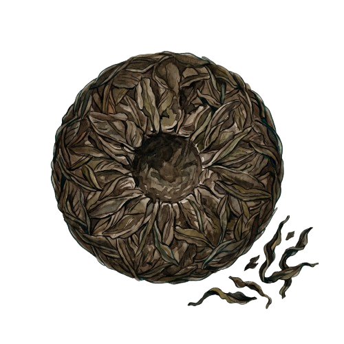 Pu Erh